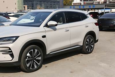 2025款 EV 智驾版 520km 尊贵型-外观-图片-有驾