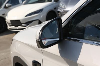 2025款 EV 智驾版 520km 尊贵型-外观-图片-有驾