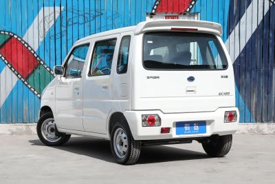2020款 EC100 舒适型-外观-图片-有驾