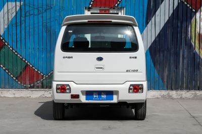 2020款 EC100 舒适型-外观-图片-有驾