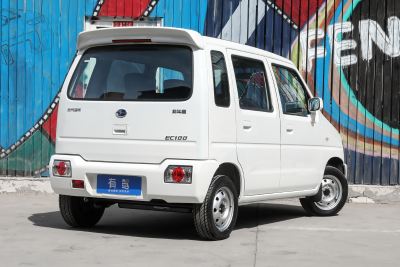 2020款 EC100 舒适型-外观-图片-有驾