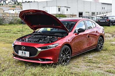 2025款 2.0L 自动质臻版-外观-图片-有驾