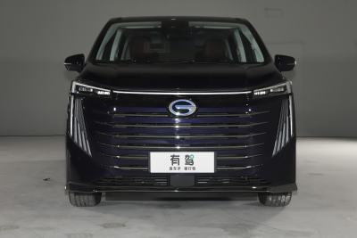 2023款 E9 MAX-外观-图片-有驾