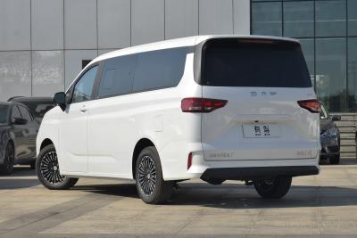 2026款 2.0L 自动长轴豪华型 9座-外观-图片-有驾