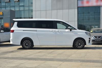 2026款 2.0L 自动长轴豪华型 9座-外观-图片-有驾