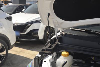 2026款 2.0L 自动长轴豪华型 9座-外观-图片-有驾