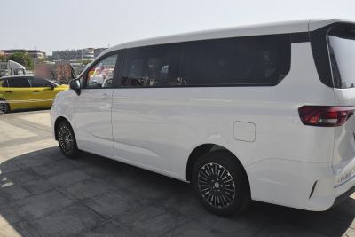 2026款 2.0L 自动长轴豪华型 9座-外观-图片-有驾