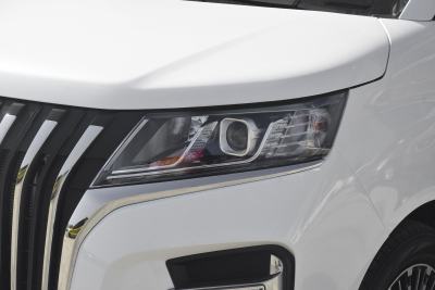 2026款 2.0L 自动长轴豪华型 9座-外观-图片-有驾