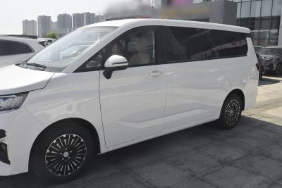 2026款 2.0L 自动长轴豪华型 9座-外观-图片-有驾