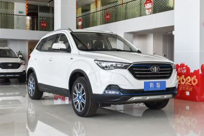 2019款 EV460 舒适型-外观-图片-有驾