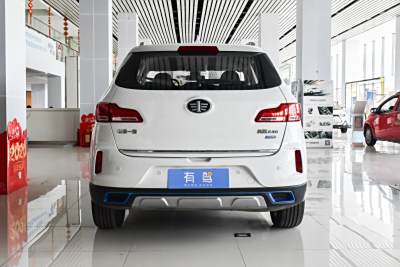 2019款 EV460 舒适型-外观-图片-有驾