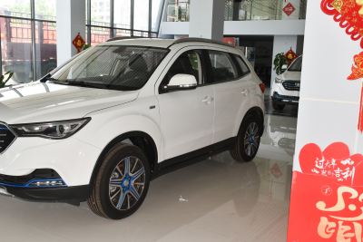 2019款 EV460 舒适型-外观-图片-有驾