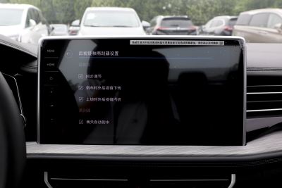 2024款 300TSI DSG卓越版-内饰-图片-有驾