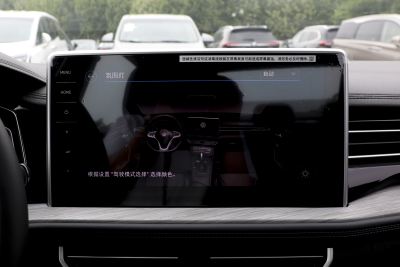 2024款 300TSI DSG卓越版-内饰-图片-有驾