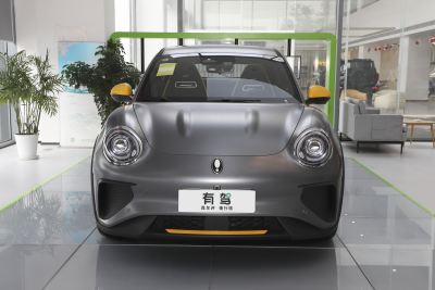 2024款 木兰版 401km 尊荣型 135kW-外观-图片-有驾