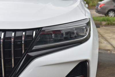 2021款 1.5T 自动豪华型 7座-外观-图片-有驾