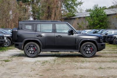 2026款 2.0TD DCT 骏马版  XWD穿越-外观-图片-有驾