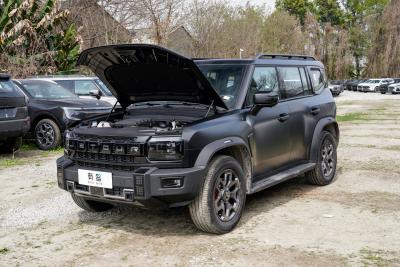 2026款 2.0TD DCT 骏马版  XWD穿越-外观-图片-有驾