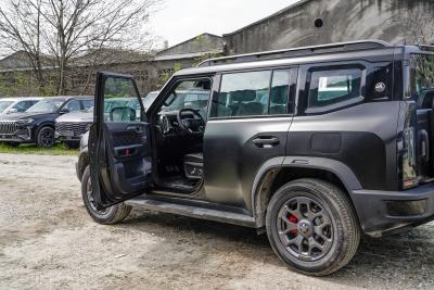 2026款 2.0TD DCT 骏马版  XWD穿越-外观-图片-有驾