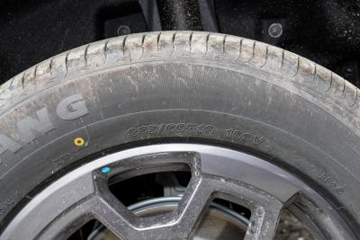 2026款 2.0TD DCT 骏马版  XWD穿越-外观-图片-有驾