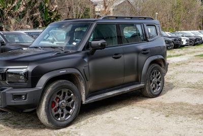 2026款 2.0TD DCT 骏马版  XWD穿越-外观-图片-有驾