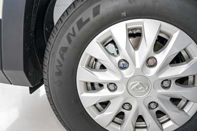 2025款 旅行家RVLIFE乐游版-外观-图片-有驾