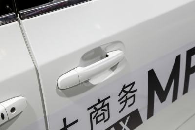 2025款 改款 MAX 2.0T 自动豪华版 汽油 7座-外观-图片-有驾