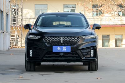 2020款 2.0T 超豪型-外观-图片-有驾