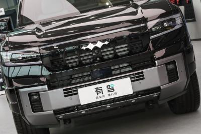 2025款 智勇旗舰无人机版 6座-外观-图片-有驾