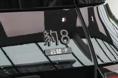 2025款 智勇旗舰无人机版 6座-外观-图片-有驾