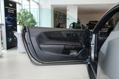 2024款 5.0L V8 Dark Horse-空间-图片-有驾