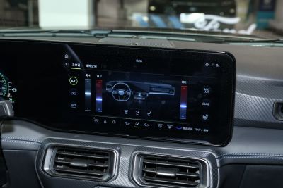 2024款 5.0L V8 Dark Horse-内饰-图片-有驾