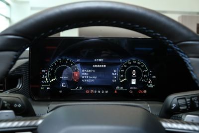 2024款 5.0L V8 Dark Horse-内饰-图片-有驾