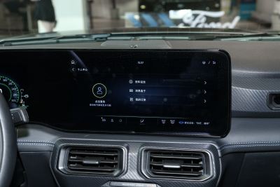 2024款 5.0L V8 Dark Horse-内饰-图片-有驾