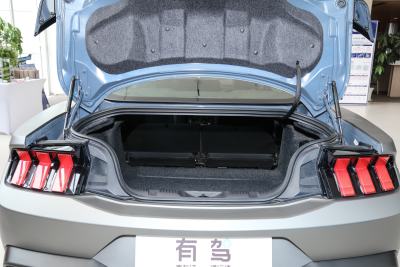 2024款 5.0L V8 Dark Horse-空间-图片-有驾