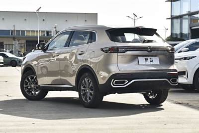 2026款 第四代 新蓝鲸 1.5T 领先型-外观-图片-有驾