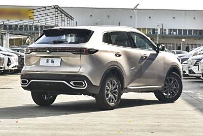 2026款 第四代 新蓝鲸 1.5T 领先型-外观-图片-有驾