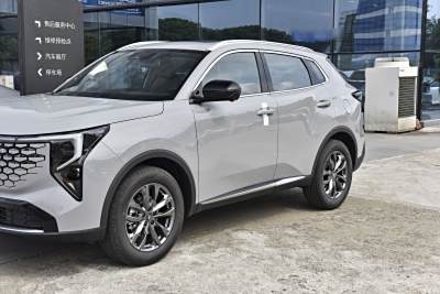 2026款 第四代 新蓝鲸 1.5T 领先型-外观-图片-有驾