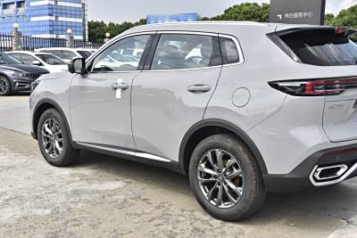 2026款 第四代 新蓝鲸 1.5T 领先型-外观-图片-有驾