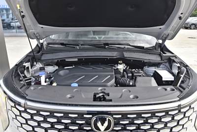 2026款 第四代 新蓝鲸 1.5T 领先型-外观-图片-有驾