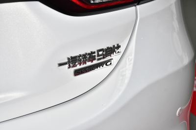 2021款 2.5L 蓝天运动版-外观-图片-有驾