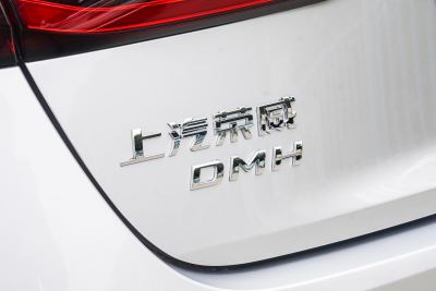 2025款 DMH 125km 世界冠军卓越版-外观-图片-有驾