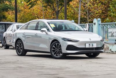 2025款 DMH 125km 世界冠军卓越版-外观-图片-有驾