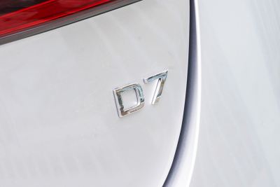 2025款 DMH 125km 世界冠军卓越版-外观-图片-有驾