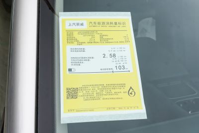 2025款 DMH 125km 世界冠军卓越版-外观-图片-有驾