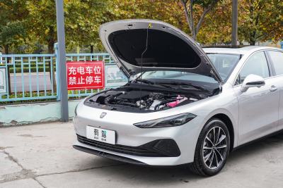 2025款 DMH 125km 世界冠军卓越版-外观-图片-有驾