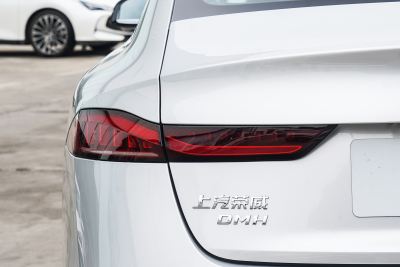 2025款 DMH 125km 世界冠军卓越版-外观-图片-有驾