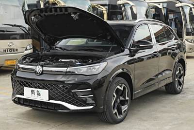 2026款 PRO 380TSI 两驱 R-Line 智领版-外观-图片-有驾