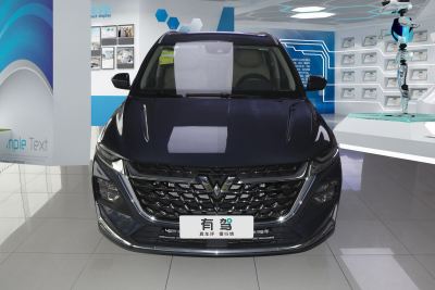 2023款 2.0L DHT臻享型-外观-图片-有驾