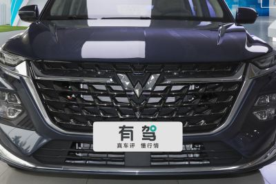 2023款 2.0L DHT臻享型-外观-图片-有驾